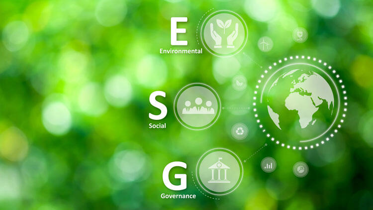 ESG Sustainability - Face Audits, Risks, and Concerns Head-on